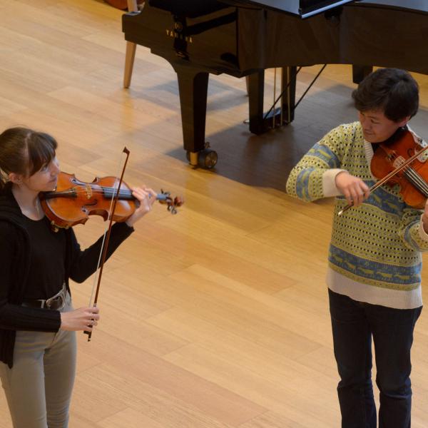 Instruments à cordes