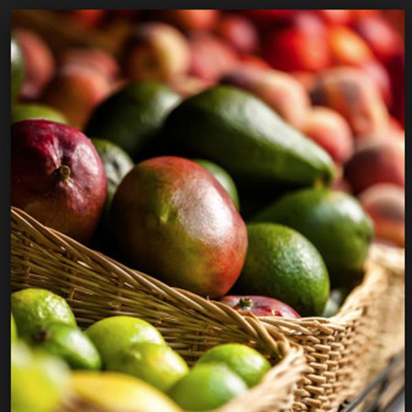 Recherche doctorale en nutrition - santé